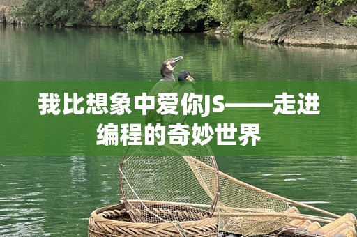 我比想象中爱你JS——走进编程的奇妙世界