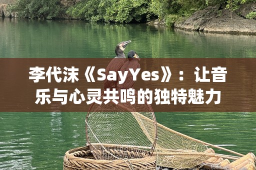 李代沫《SayYes》：让音乐与心灵共鸣的独特魅力