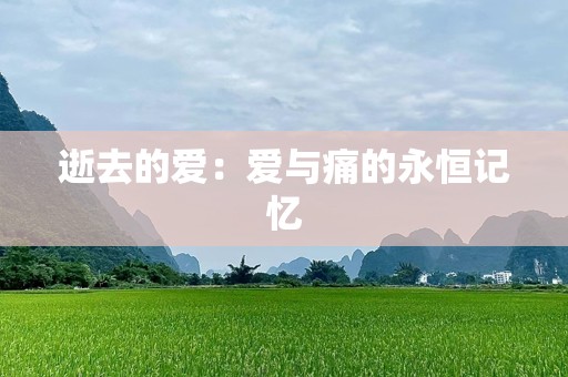 逝去的爱：爱与痛的永恒记忆