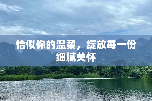 恰似你的温柔，绽放每一份细腻关怀