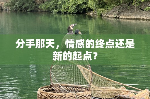 分手那天，情感的终点还是新的起点？