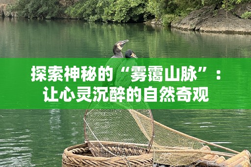 探索神秘的“雾霭山脉”：让心灵沉醉的自然奇观