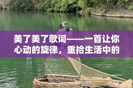 美了美了歌词——一首让你心动的旋律，重拾生活中的美好
