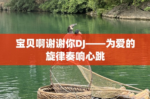 宝贝啊谢谢你DJ——为爱的旋律奏响心跳