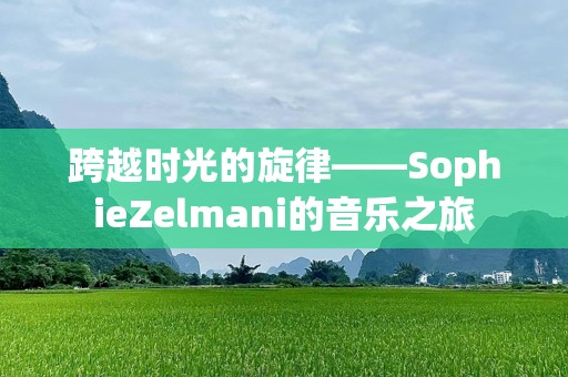 跨越时光的旋律——SophieZelmani的音乐之旅