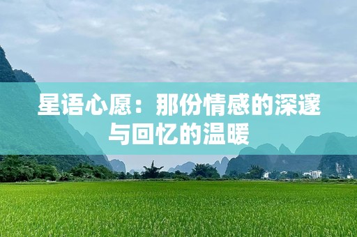 星语心愿：那份情感的深邃与回忆的温暖