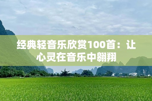 经典轻音乐欣赏100首：让心灵在音乐中翱翔
