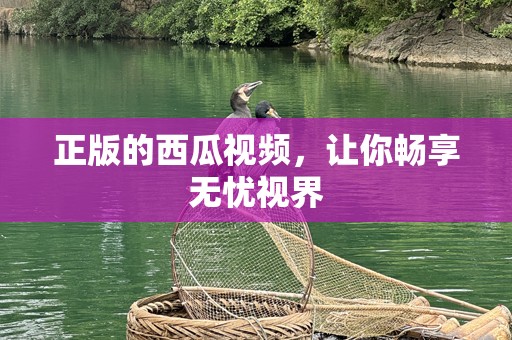 正版的西瓜视频，让你畅享无忧视界