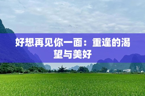 好想再见你一面：重逢的渴望与美好
