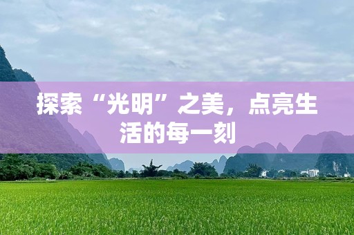 探索“光明”之美，点亮生活的每一刻