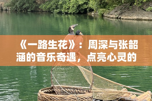 《一路生花》：周深与张韶涵的音乐奇遇，点亮心灵的光芒