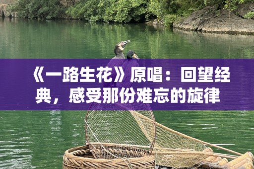 《一路生花》原唱：回望经典，感受那份难忘的旋律