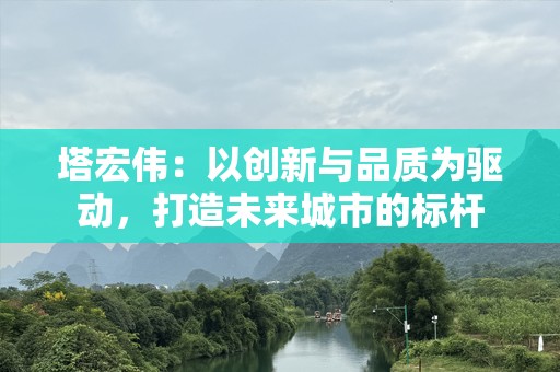 塔宏伟：以创新与品质为驱动，打造未来城市的标杆