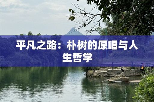 平凡之路：朴树的原唱与人生哲学