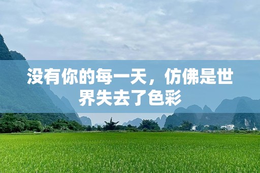 没有你的每一天，仿佛是世界失去了色彩