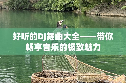 好听的DJ舞曲大全——带你畅享音乐的极致魅力