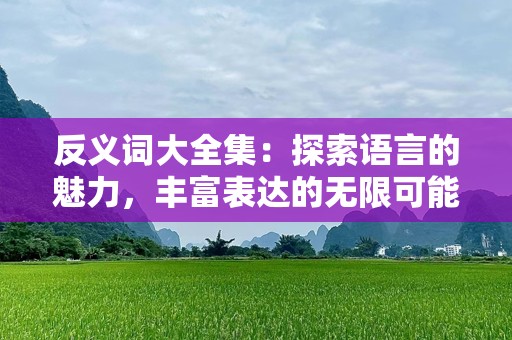 反义词大全集：探索语言的魅力，丰富表达的无限可能
