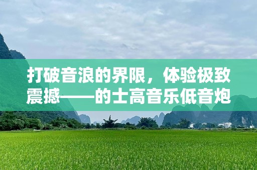 打破音浪的界限，体验极致震撼——的士高音乐低音炮