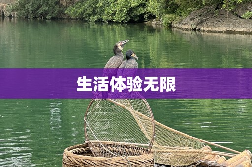 生活体验无限