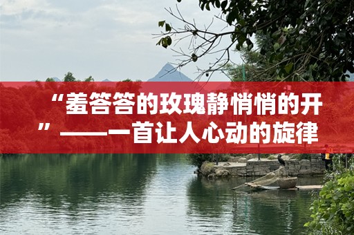 “羞答答的玫瑰静悄悄的开”——一首让人心动的旋律，背后的深意与情感表达