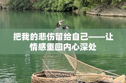 把我的悲伤留给自己——让情感重回内心深处
