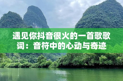 遇见你抖音很火的一首歌歌词：音符中的心动与奇迹
