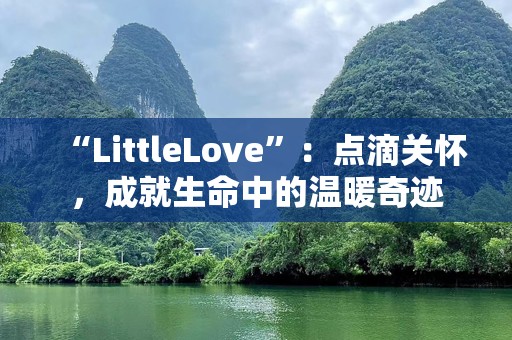 “LittleLove”：点滴关怀，成就生命中的温暖奇迹