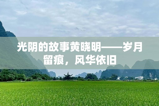 光阴的故事黄晓明——岁月留痕，风华依旧