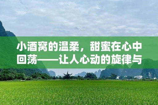 小酒窝的温柔，甜蜜在心中回荡——让人心动的旋律与情感共鸣