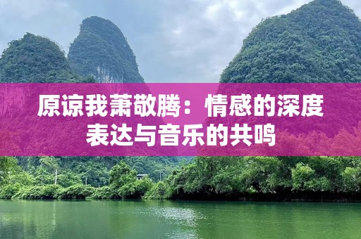 原谅我萧敬腾：情感的深度表达与音乐的共鸣