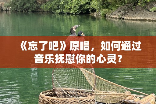 《忘了吧》原唱，如何通过音乐抚慰你的心灵？