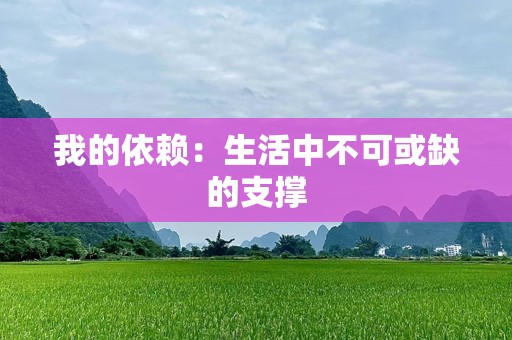 我的依赖：生活中不可或缺的支撑