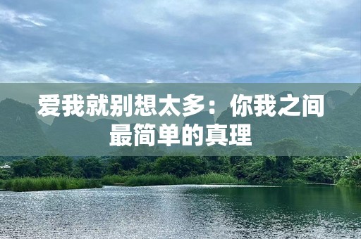 爱我就别想太多：你我之间最简单的真理