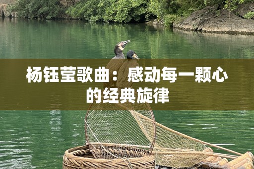 杨钰莹歌曲：感动每一颗心的经典旋律
