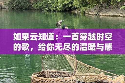如果云知道：一首穿越时空的歌，给你无尽的温暖与感动