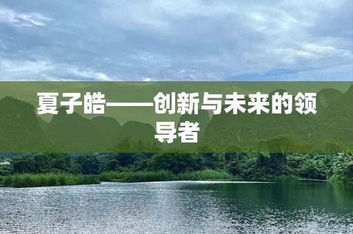 夏子皓——创新与未来的领导者