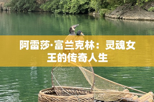 阿雷莎·富兰克林：灵魂女王的传奇人生
