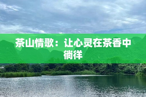 茶山情歌：让心灵在茶香中徜徉