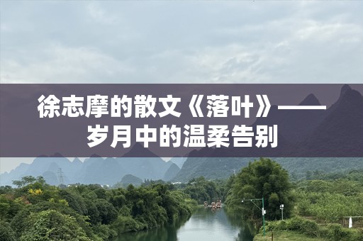徐志摩的散文《落叶》——岁月中的温柔告别