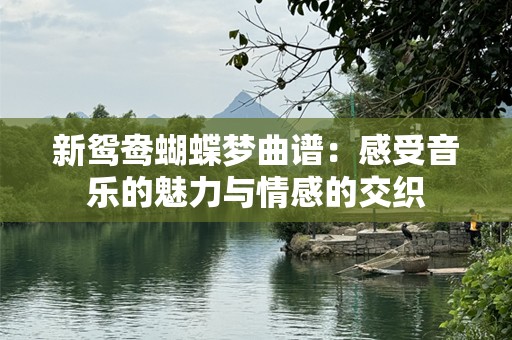 新鸳鸯蝴蝶梦曲谱：感受音乐的魅力与情感的交织