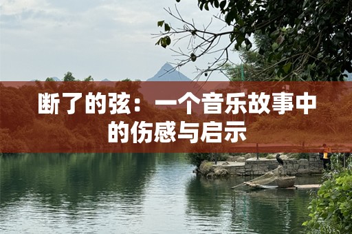 断了的弦：一个音乐故事中的伤感与启示