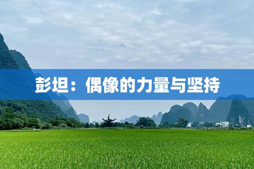 彭坦：偶像的力量与坚持
