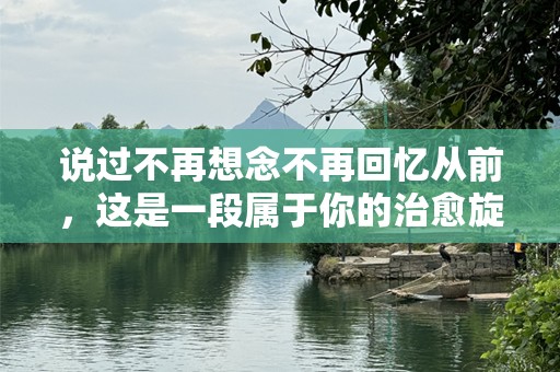 说过不再想念不再回忆从前，这是一段属于你的治愈旋律