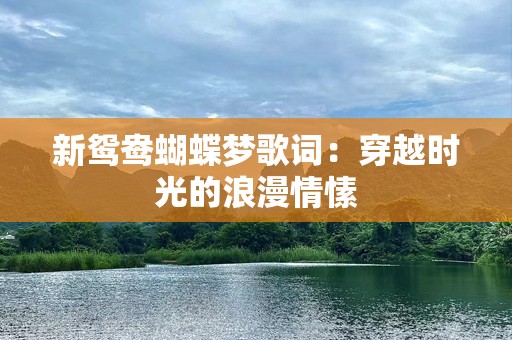 新鸳鸯蝴蝶梦歌词：穿越时光的浪漫情愫
