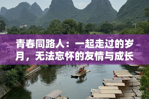 青春同路人：一起走过的岁月，无法忘怀的友情与成长