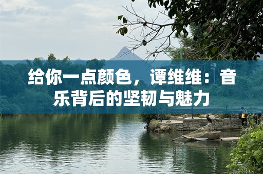 给你一点颜色，谭维维：音乐背后的坚韧与魅力