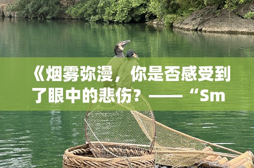 《烟雾弥漫，你是否感受到了眼中的悲伤？——“SmokeGetsInYourEyes”的情感启示》