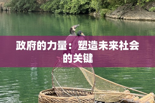 政府的力量：塑造未来社会的关键