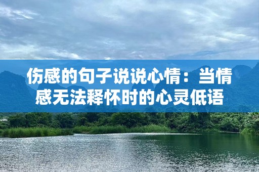 伤感的句子说说心情：当情感无法释怀时的心灵低语
