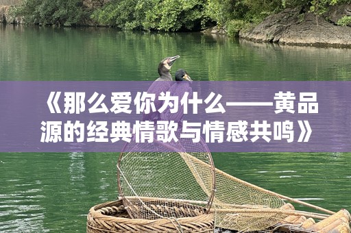 《那么爱你为什么——黄品源的经典情歌与情感共鸣》